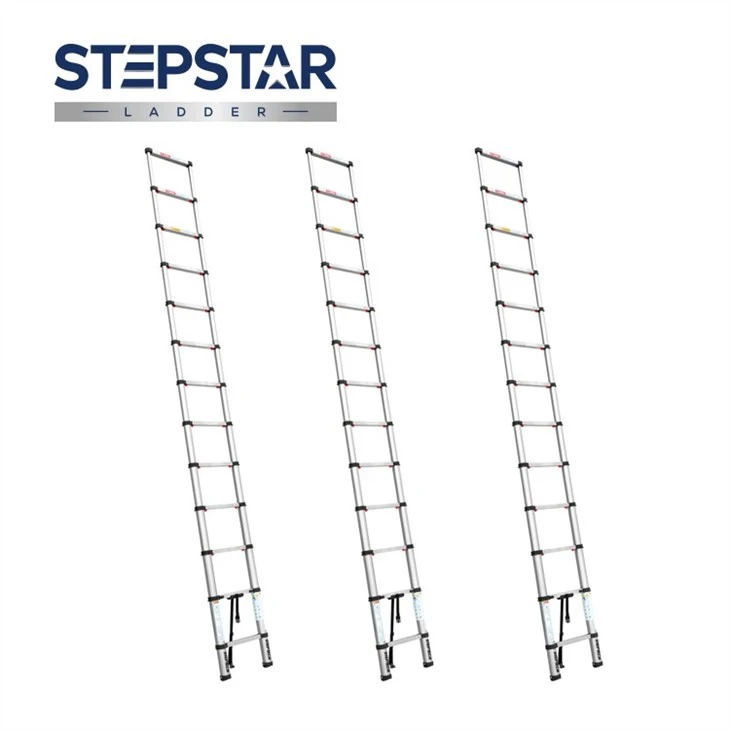 Stainless Steel Telescopic Ladder